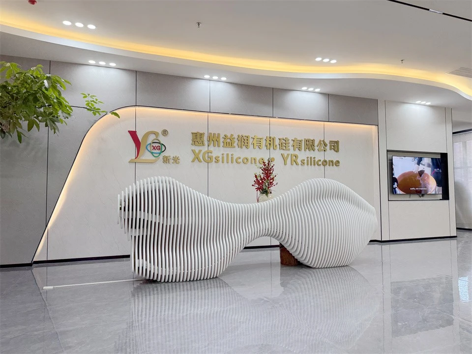 Hình ảnh công ty XGSILICON Việt Nam